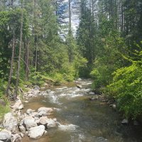 river upstream